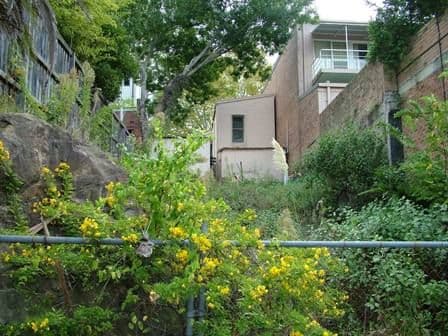 83 Nelson Street, ANNANDALE NSW 2038, Annandale - Thumbnail 2
