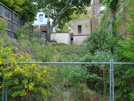 83 Nelson Street, ANNANDALE NSW 2038, Annandale - Thumbnail 3