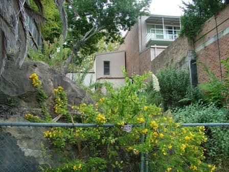83 Nelson Street, ANNANDALE NSW 2038, Annandale - Thumbnail 5