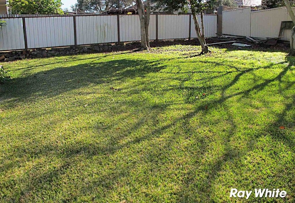 15 Lewins Street, EARLWOOD NSW 2206, Earlwood - Thumbnail 2