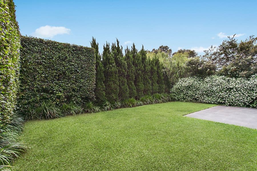 42 Murriverie Road, North Bondi NSW 2026, North Bondi - Thumbnail 5