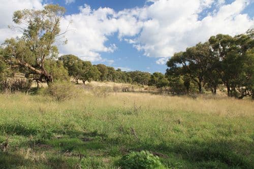 Lot 3 Butmaroo Road, BUNGENDORE NSW 2621, Bungendore - Image 1