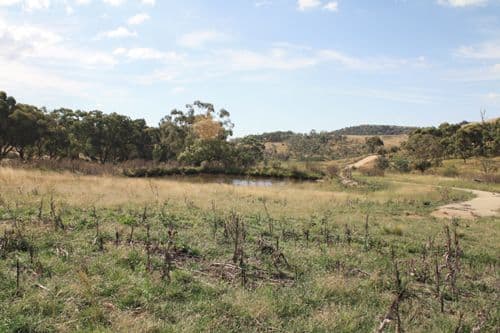 Lot 3 Butmaroo Road, BUNGENDORE NSW 2621, Bungendore - Thumbnail 2