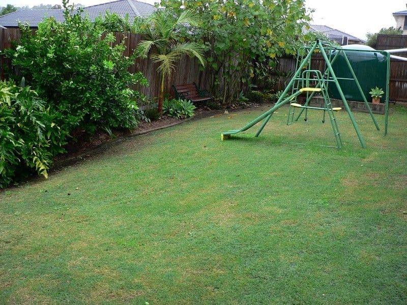 11 Jaxson Terrace, PIMPAMA QLD 4209, Pimpama - Thumbnail 3