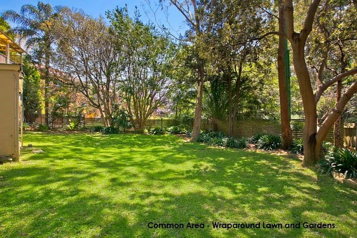 1 Olympia Road, NAREMBURN NSW 2065, Naremburn - Thumbnail 5