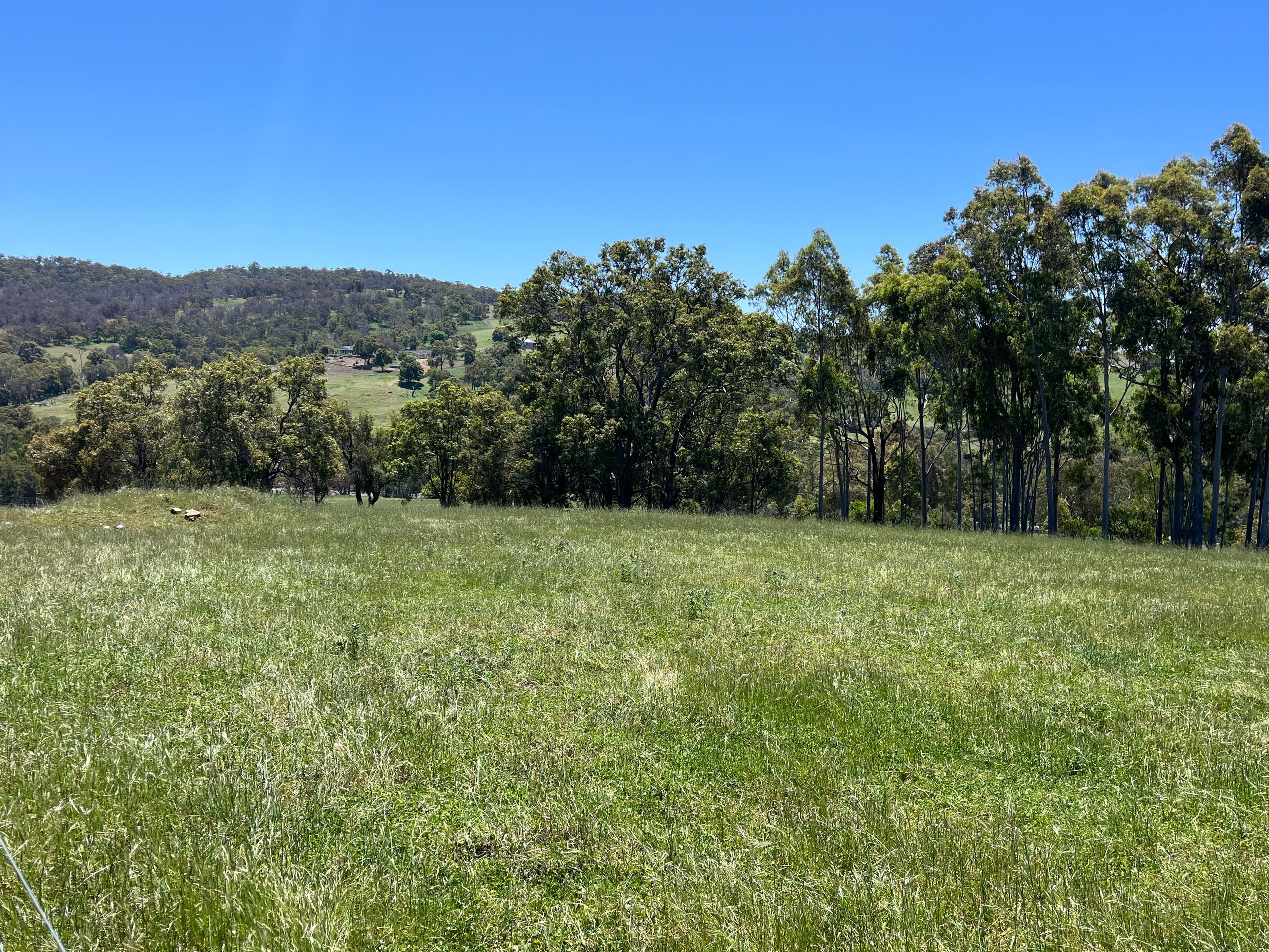 29 Springvale Road, Bullsbrook WA 6084, Bullsbrook - Thumbnail 2