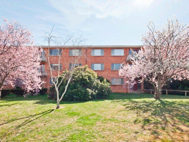 113 Knox Street, Watson ACT 2602, Watson - Image 1