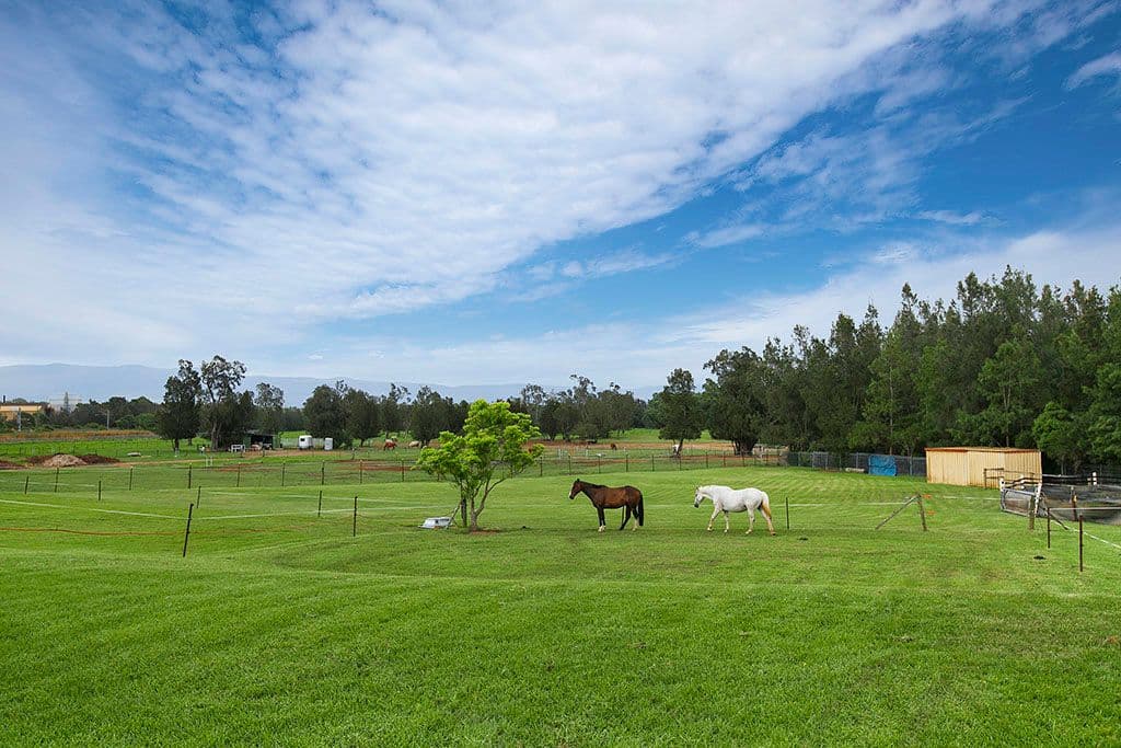 14 Spoonbill Place, ALBION PARK RAIL NSW 2527, Albion Park Rail - Image 1