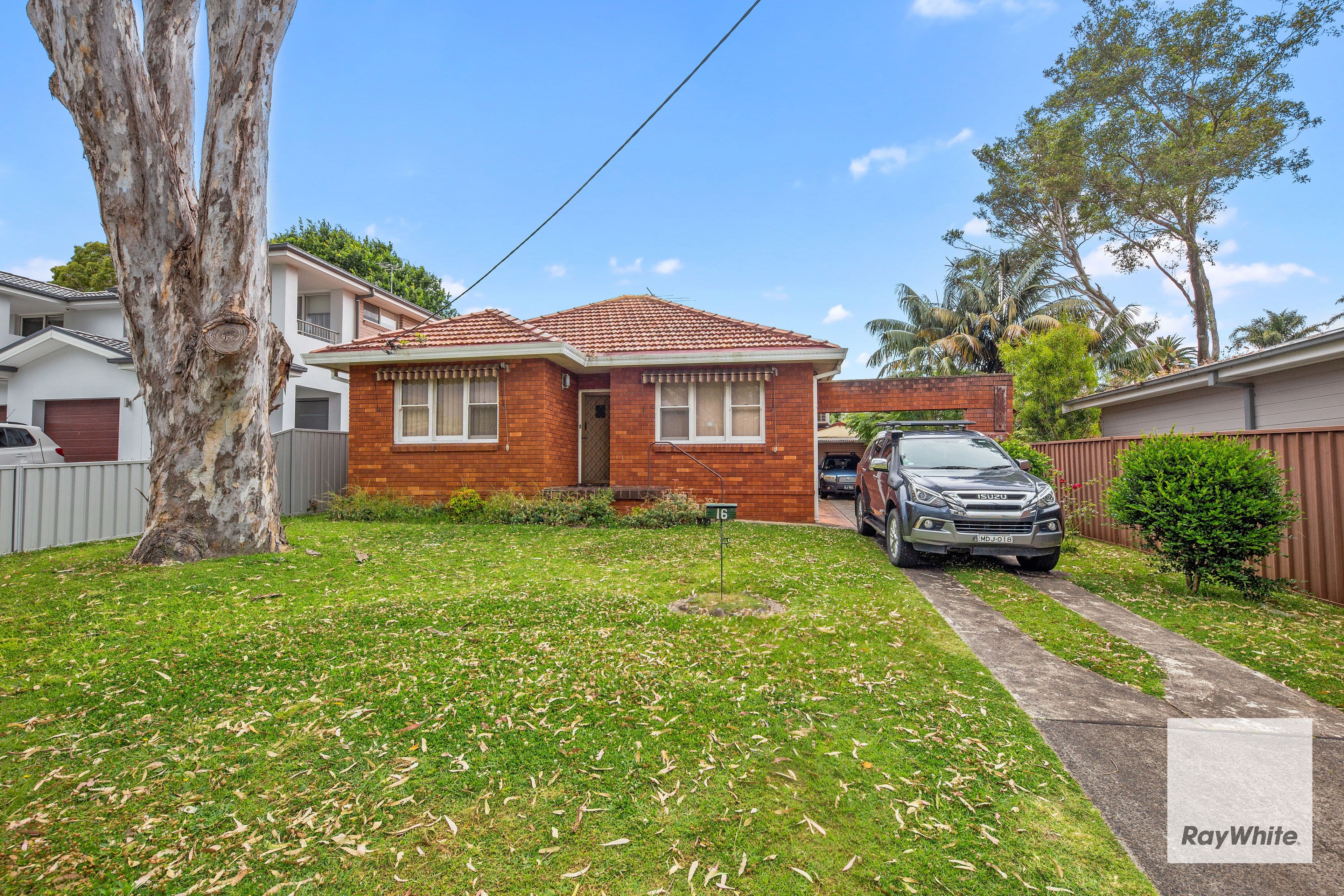 16 Taronga Parade, Caringbah NSW 2229, Caringbah - Thumbnail 3