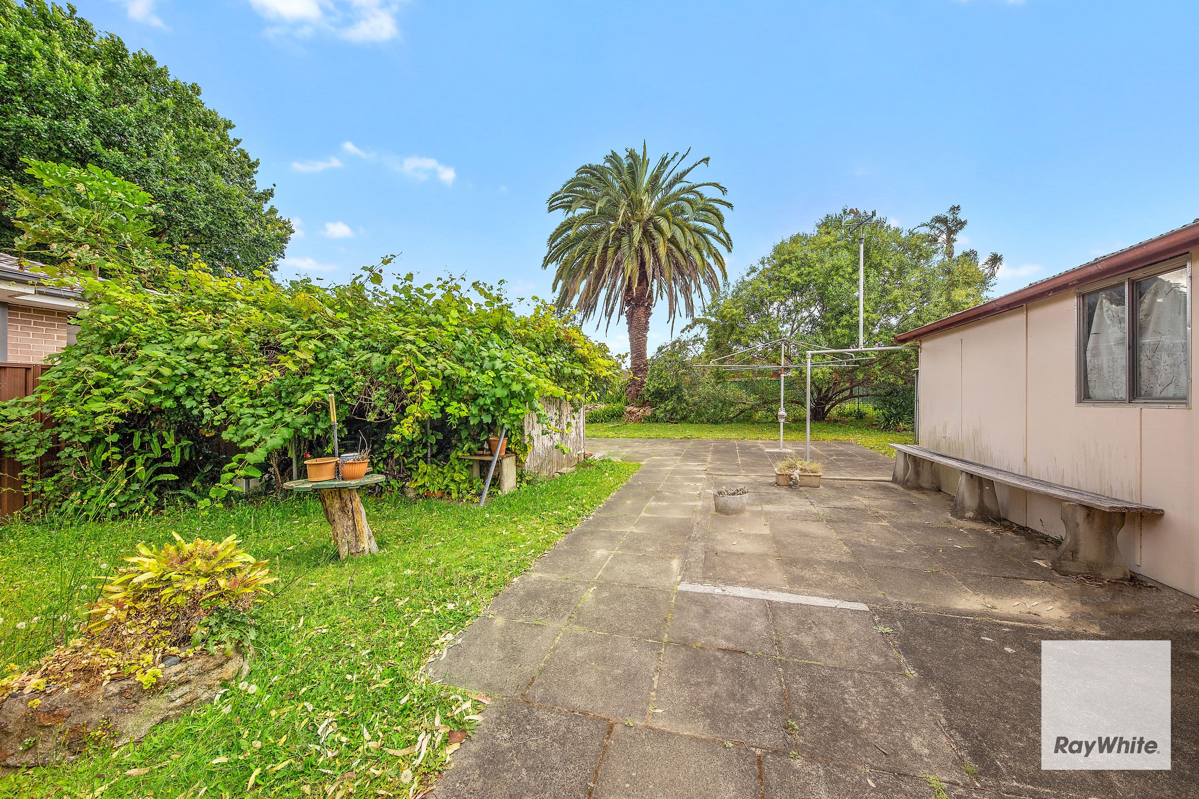 16 Taronga Parade, Caringbah NSW 2229, Caringbah - Thumbnail 6