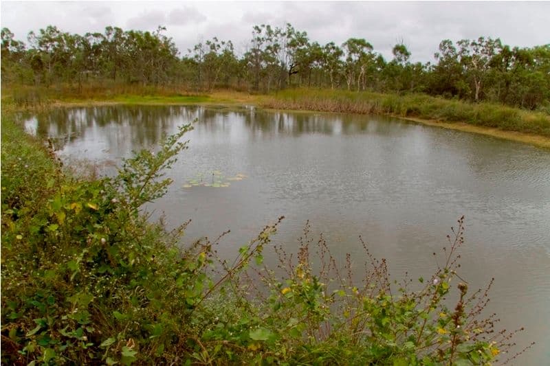 5 Clydesdale Place, BLACK RIVER QLD 4818, Black River - Thumbnail 4