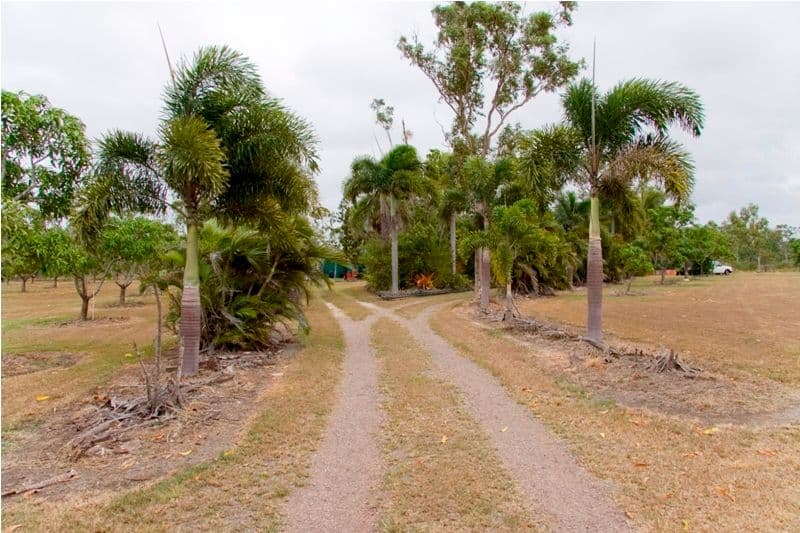 5 Clydesdale Place, BLACK RIVER QLD 4818, Black River - Thumbnail 8