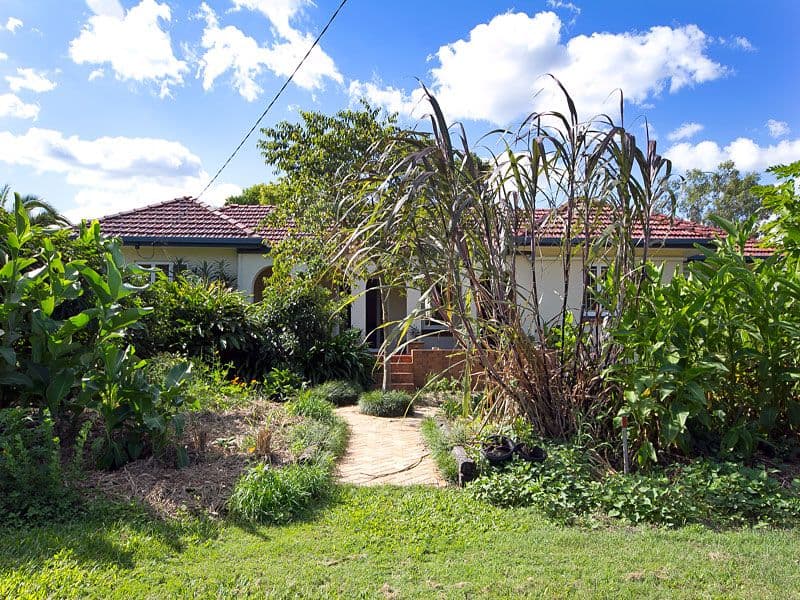 9 Sheffield Street, OXLEY QLD 4075, Oxley - Thumbnail 5