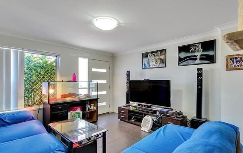 9 Claudia Street, Burpengary - Thumbnail 4