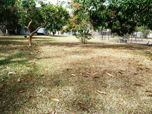 91 Ring Road, ALICE RIVER QLD 4817, Alice River - Thumbnail 6