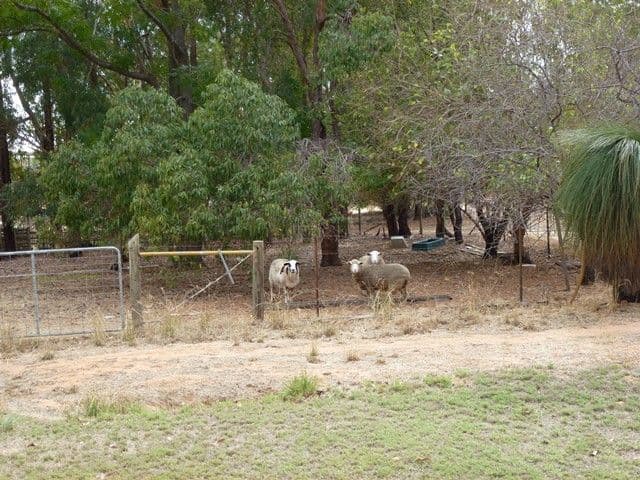 71 Ashton Road, BULLSBROOK WA 6084, Bullsbrook - Thumbnail 5