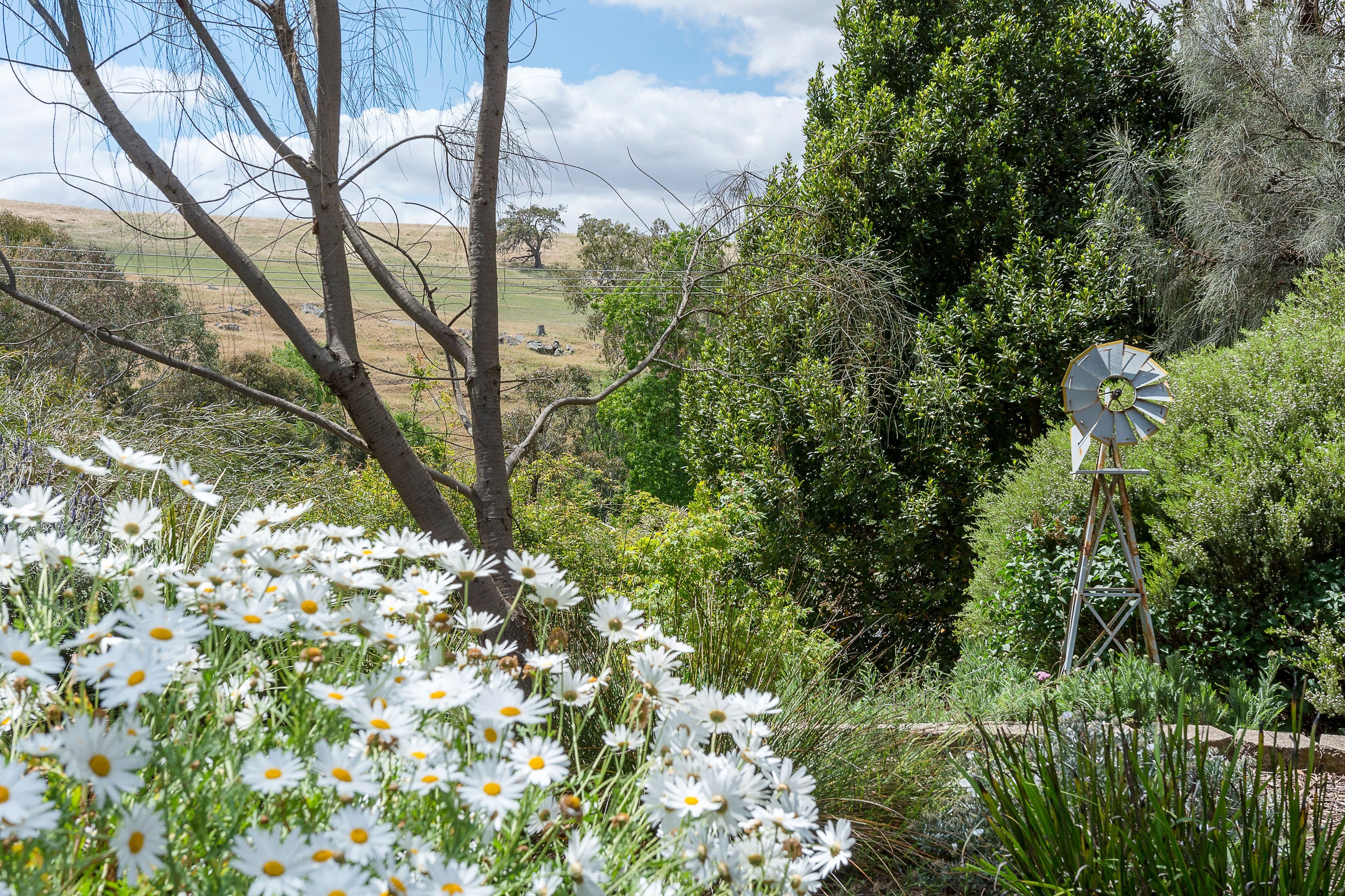 7 Bassett Street, Nairne SA 5252, Nairne - Image 1
