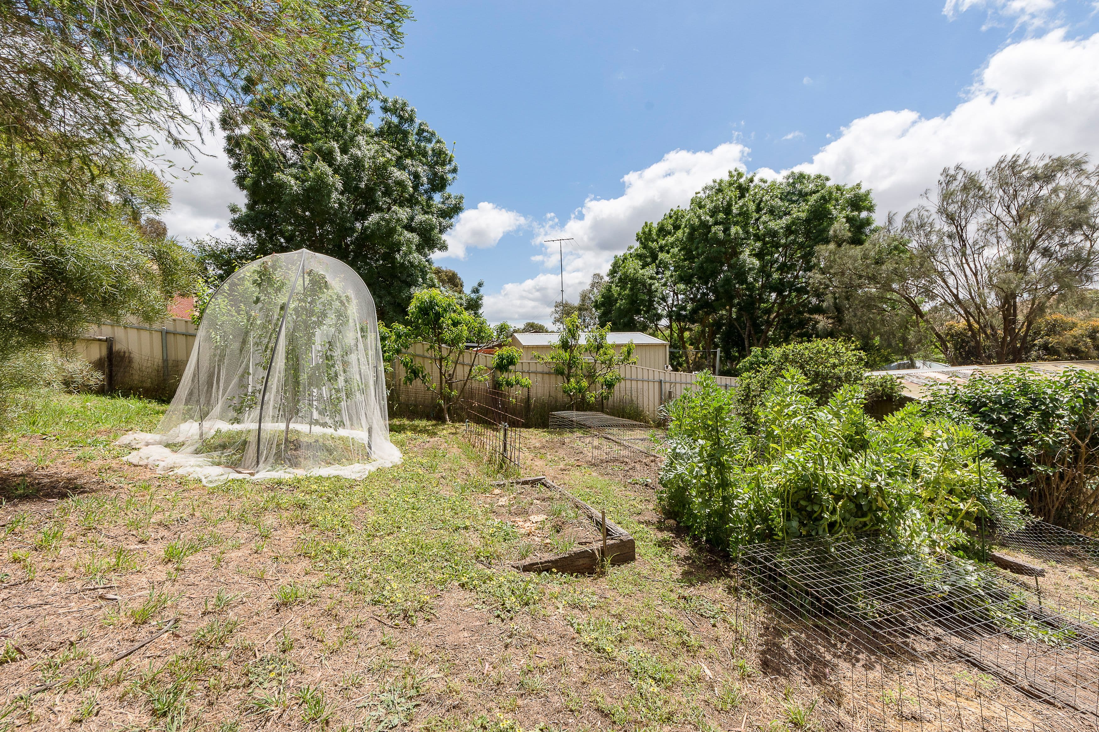 7 Bassett Street, Nairne SA 5252, Nairne - Thumbnail 3