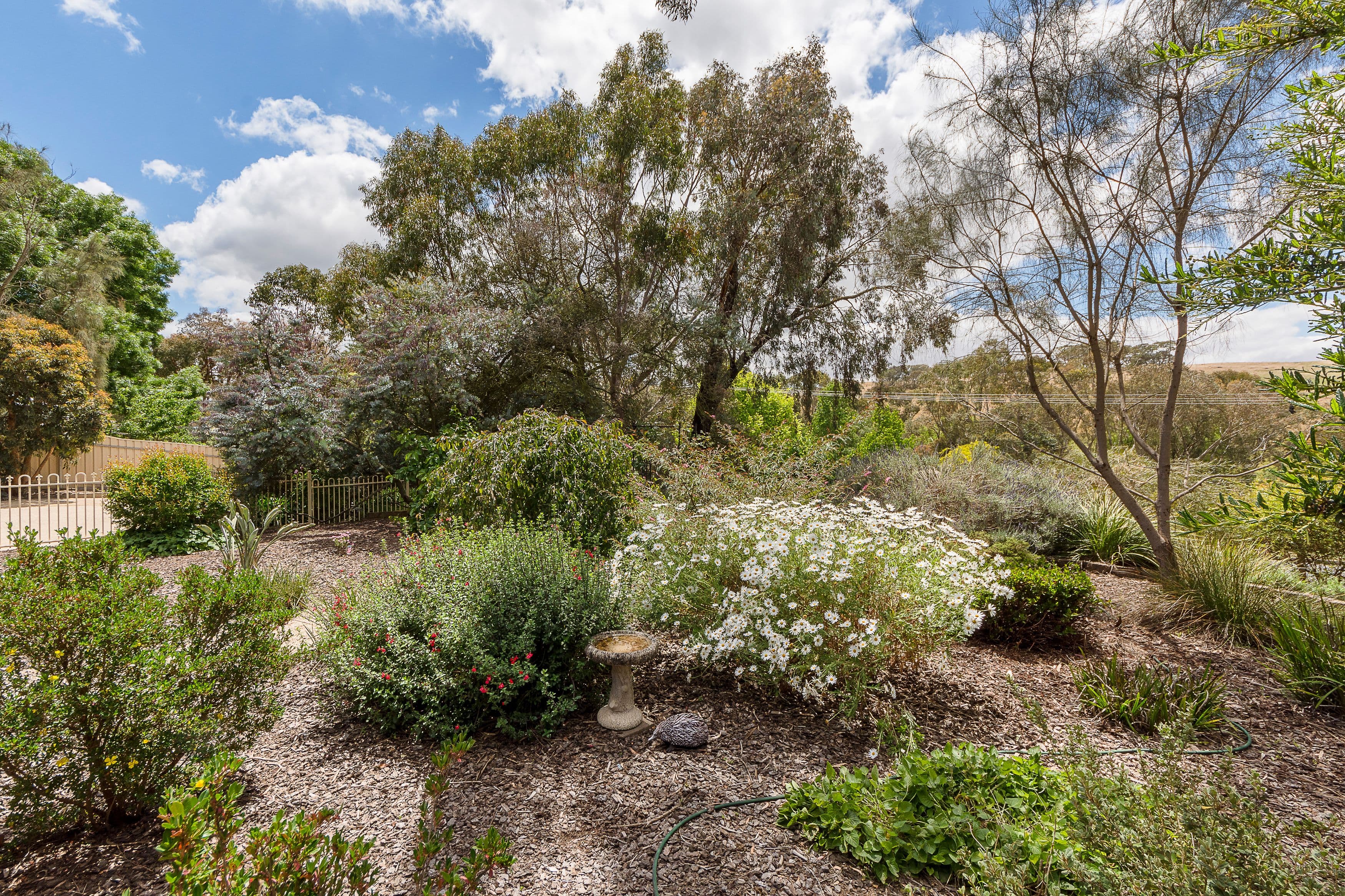 7 Bassett Street, Nairne SA 5252, Nairne - Thumbnail 4