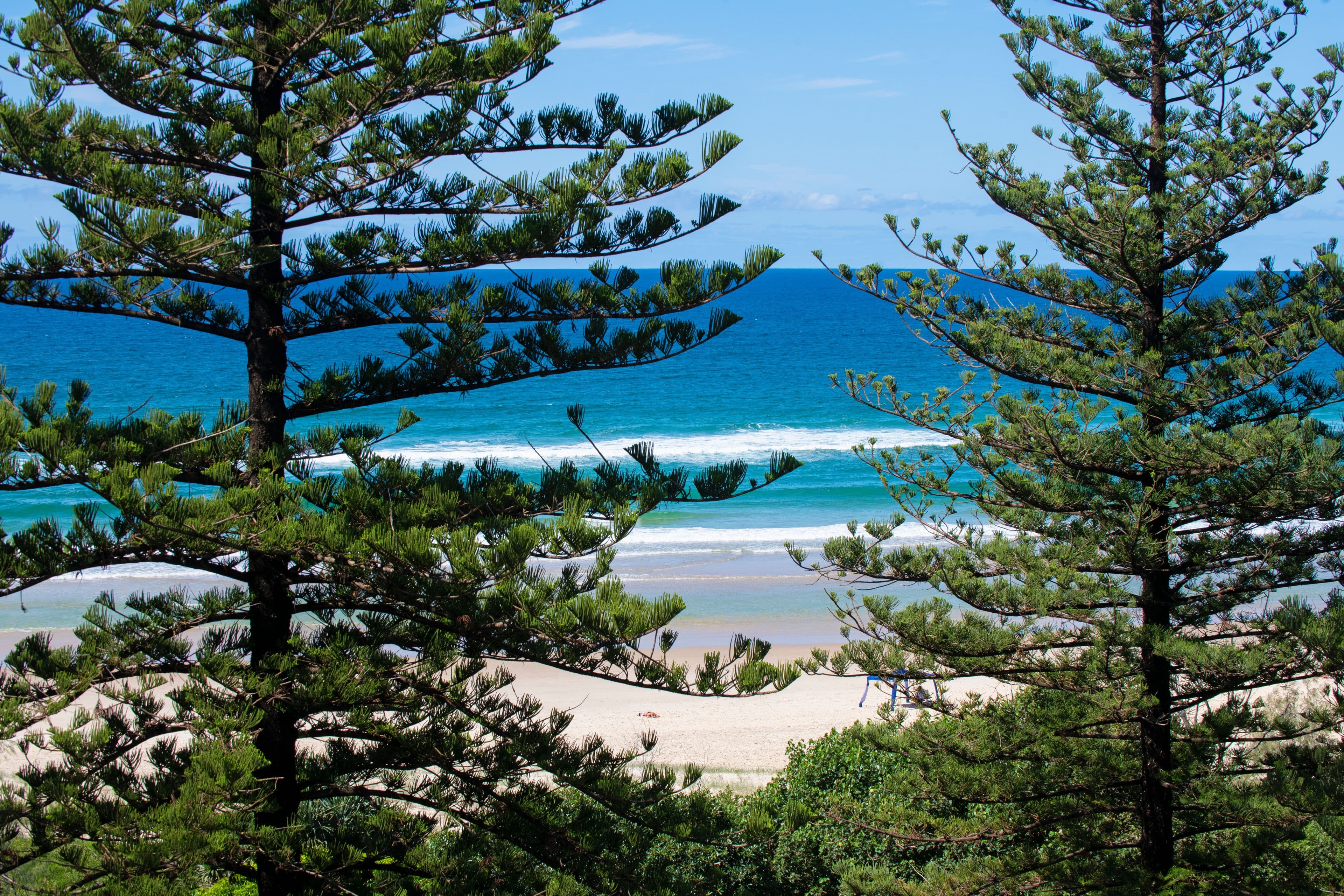 220 The Esplanade, Burleigh Heads QLD 4220, Burleigh Heads - Thumbnail 4