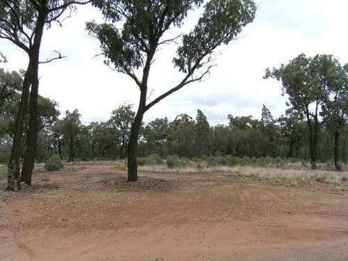 5  Harrison Place, DUBBO NSW 2830, Dubbo - Image 1