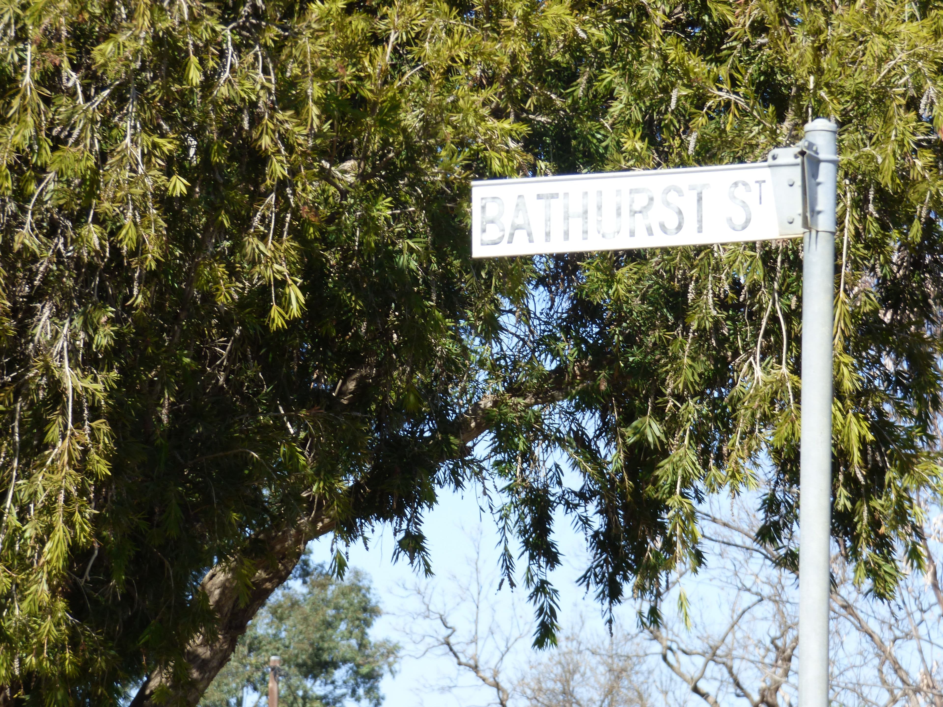 12C Bathurst Street, Forbes NSW 2871, Forbes - Thumbnail 4