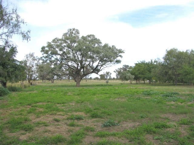 116 Endeavour Drive, Banksia Beach, QLD, 4507, Banksia Beach - Thumbnail 4