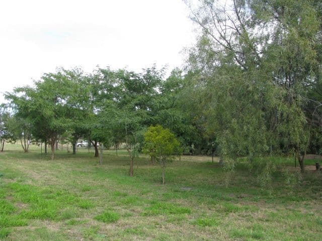 116 Endeavour Drive, Banksia Beach, QLD, 4507, Banksia Beach - Thumbnail 6