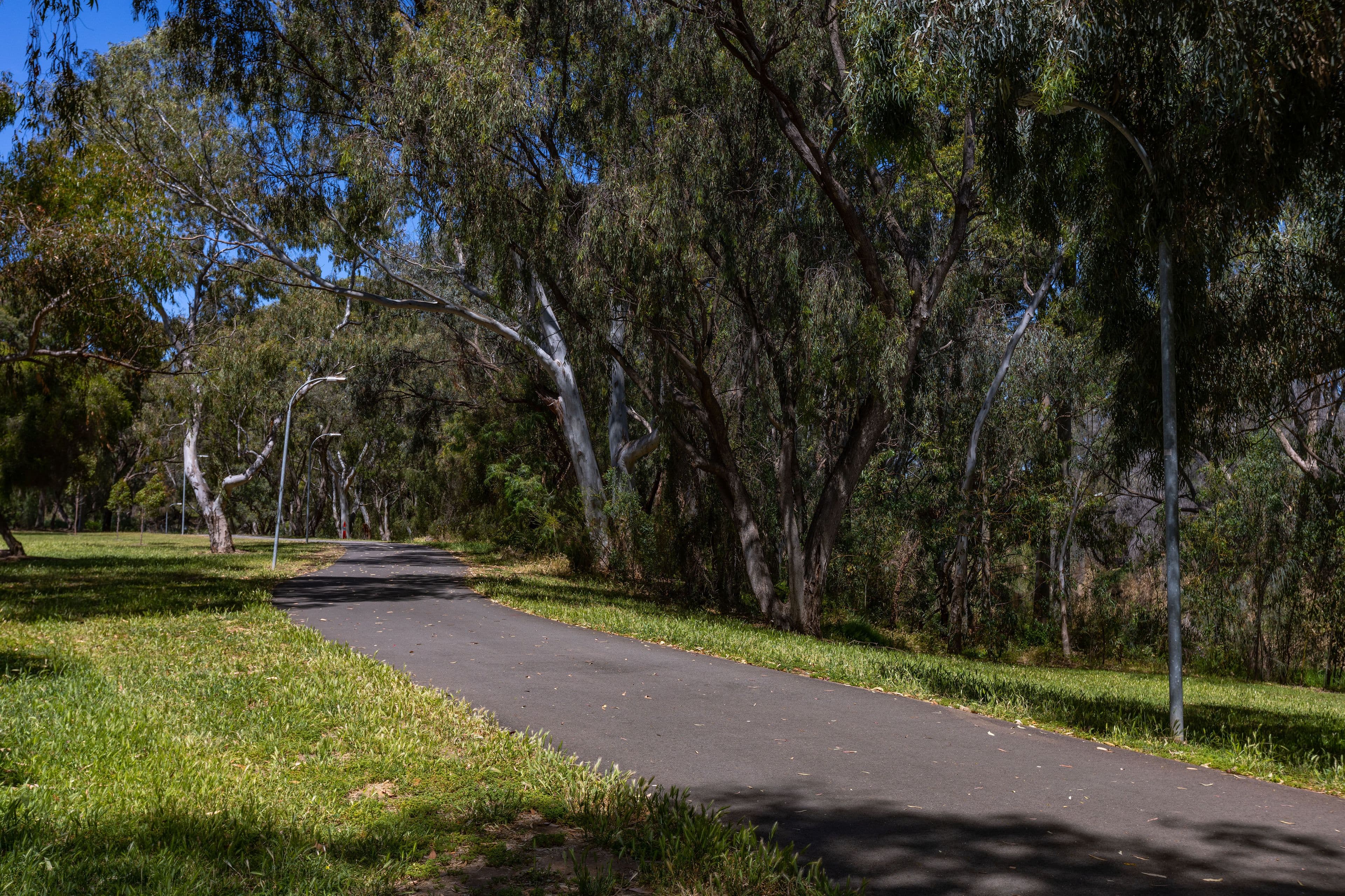 37 Kooralla Grove, Kidman Park SA 5025, Kidman Park - Thumbnail 3
