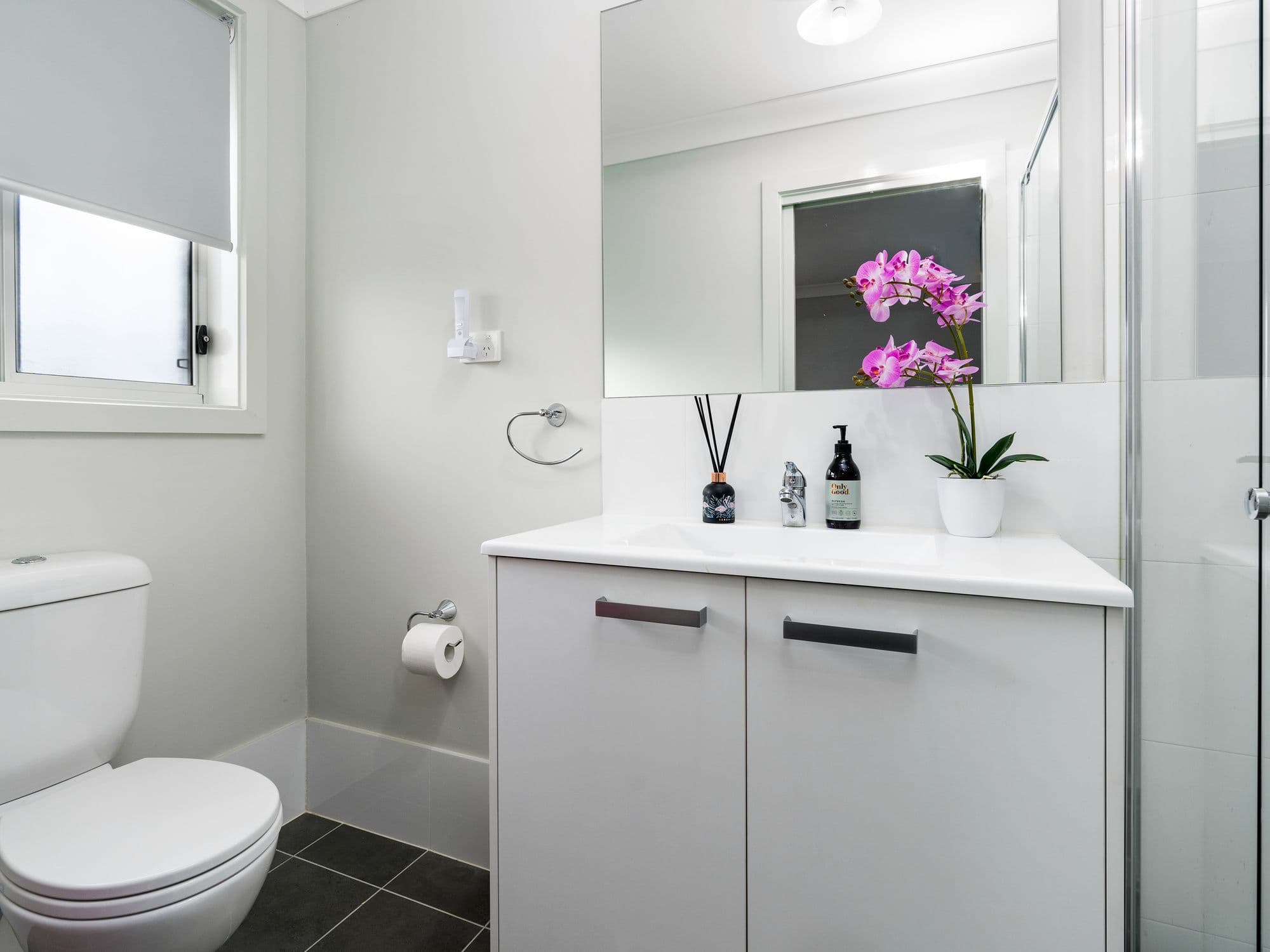 69 Higgins Avenue, Elderslie NSW 2570, Elderslie - Thumbnail 6