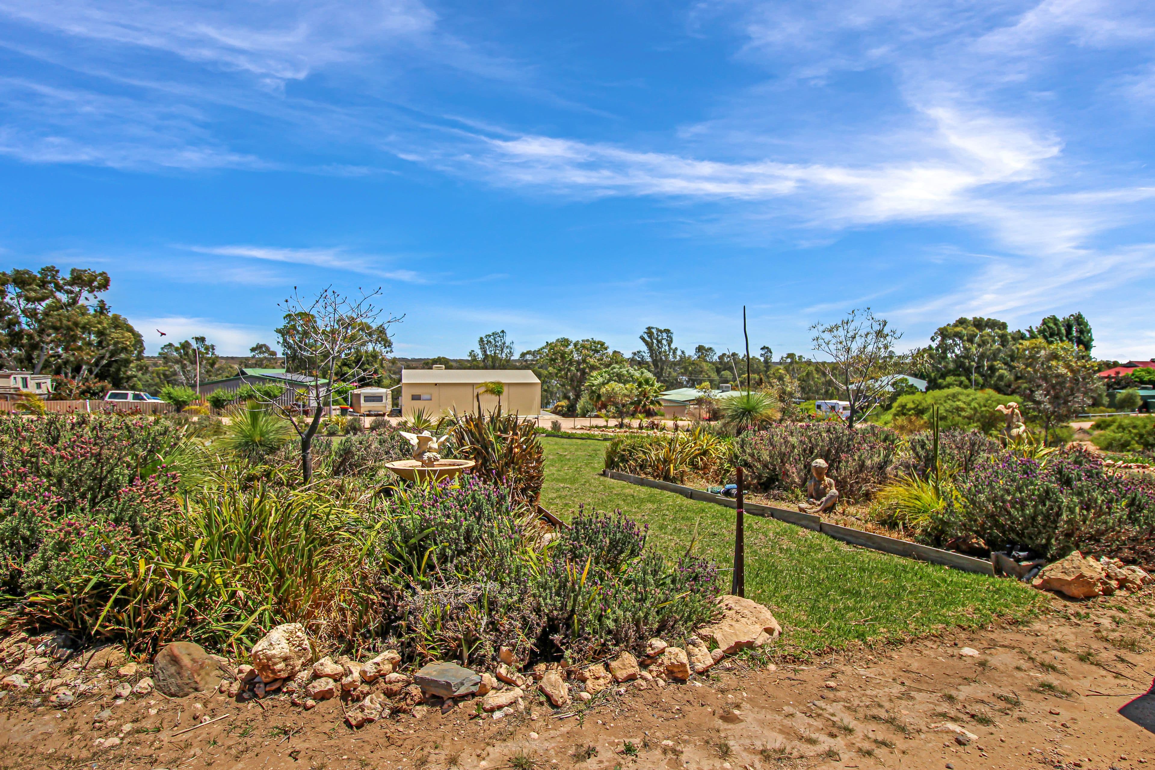 Lot 29 Murbko Road, Murbko SA 5320, Murbko - Thumbnail 6
