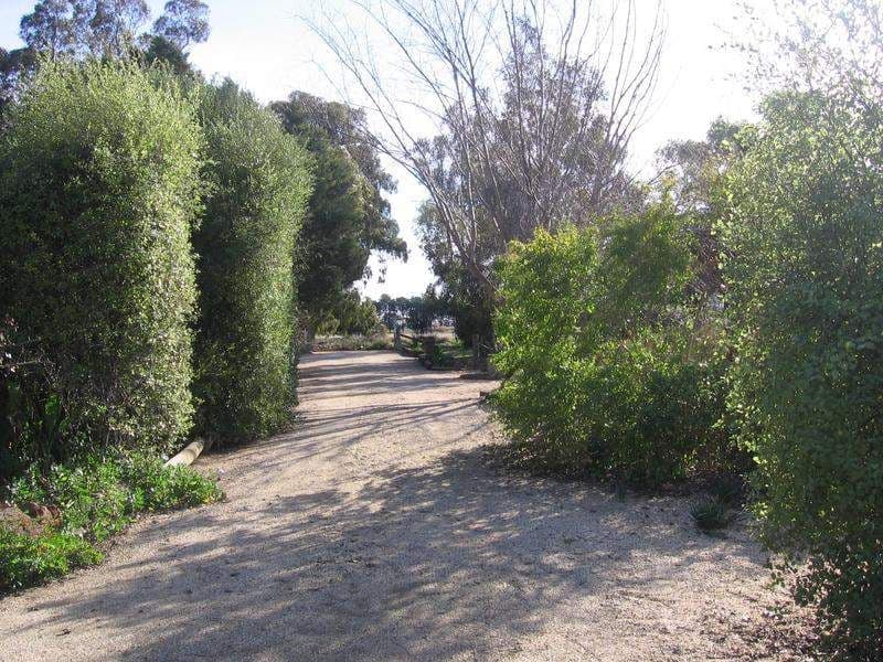 Savernake NSW 2646, Savernake - Thumbnail 6