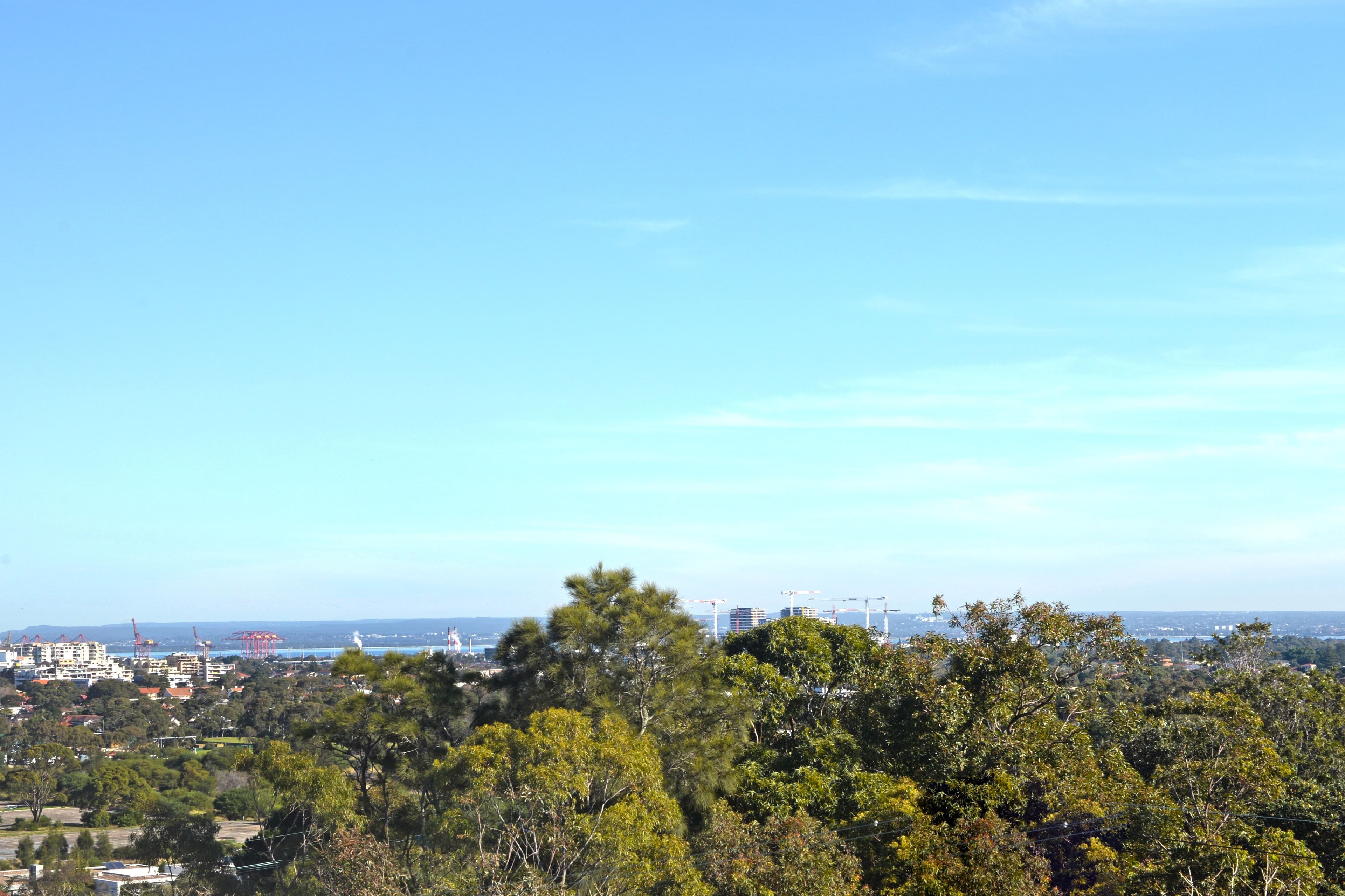 7 Hendy Avenue, Coogee NSW 2034, Coogee - Thumbnail 8