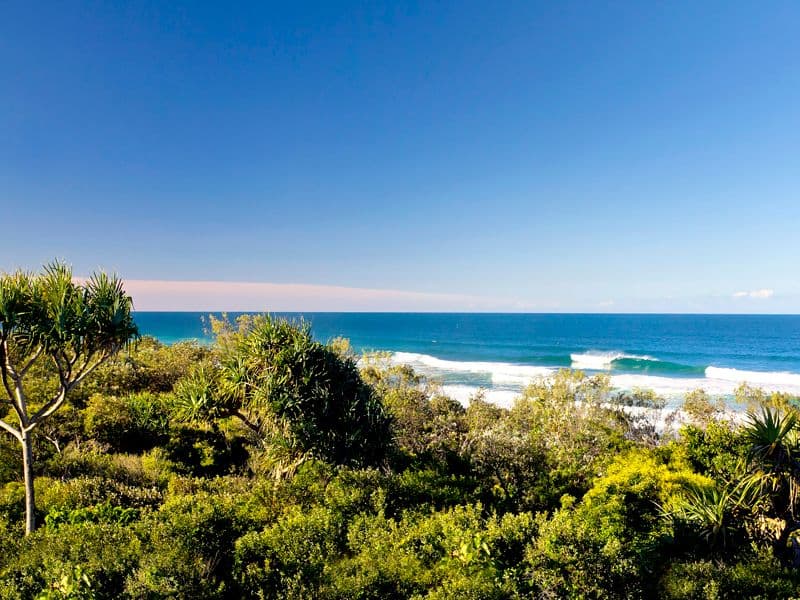2 Pitta Street, PEREGIAN BEACH QLD 4573, Peregian Beach - Thumbnail 2