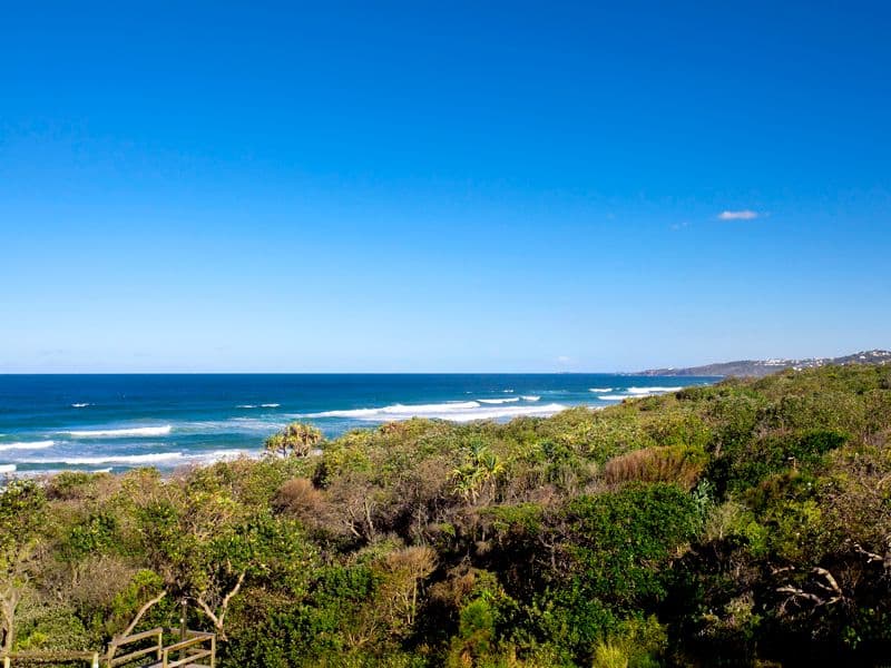 2 Pitta Street, PEREGIAN BEACH QLD 4573, Peregian Beach - Thumbnail 5