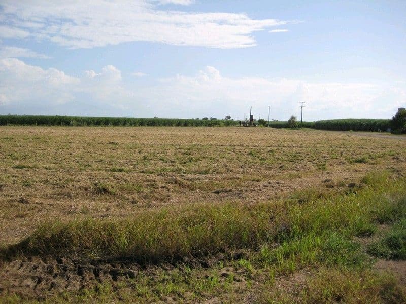 AYR QLD 4807, Ayr - Image 1