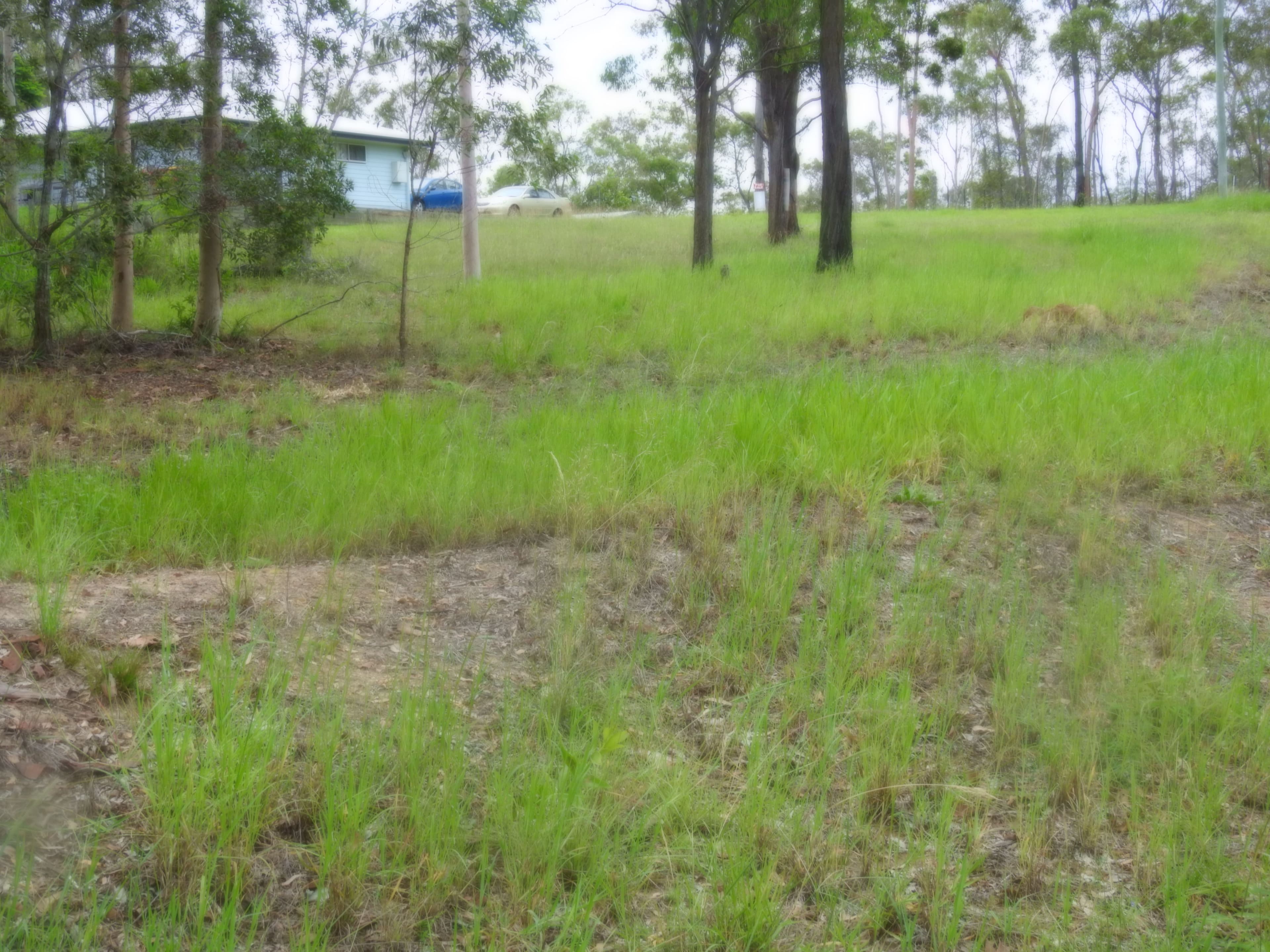 2-6 Frost Street, Apple Tree Creek QLD 4660, Apple Tree Creek - Thumbnail 2