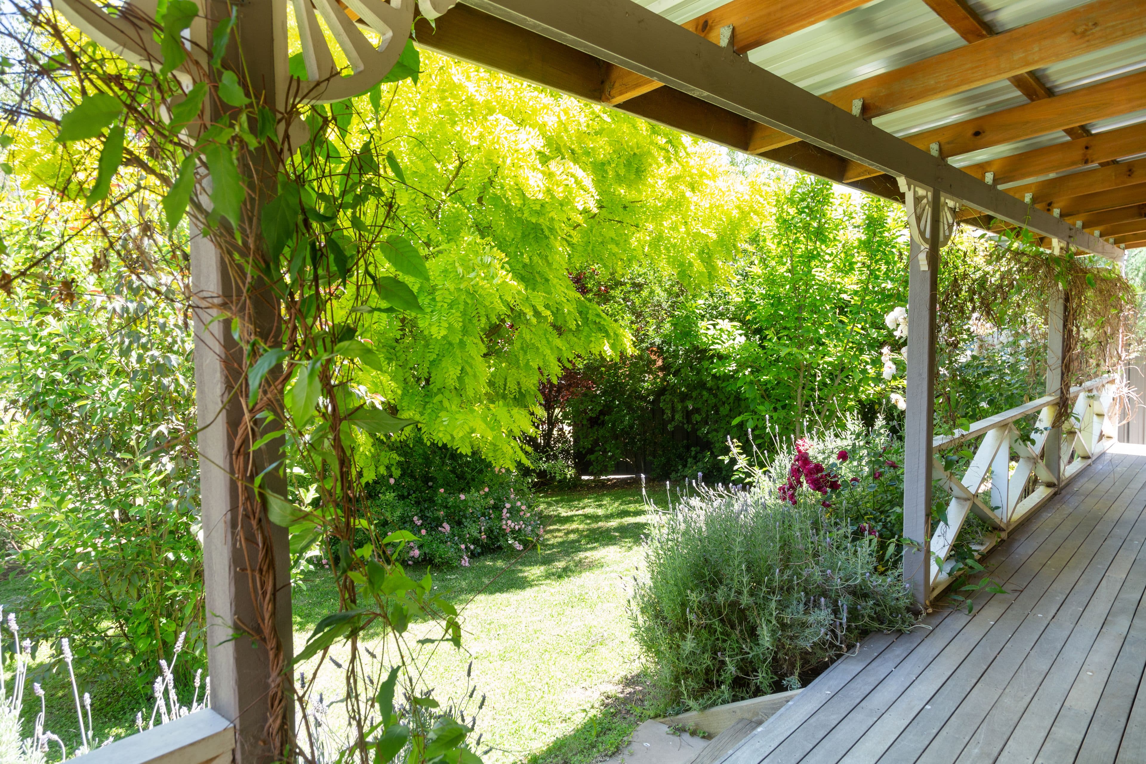 12 Farrall Court, Mansfield VIC 3722, Mansfield - Image 1