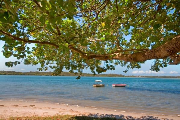 22 Thomas Street, MAROOCHYDORE QLD 4558, Maroochydore - Thumbnail 8