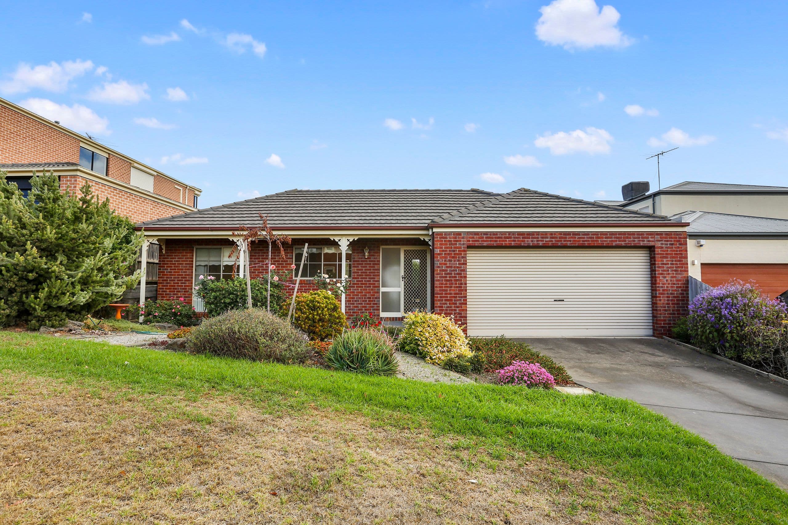 12 Lipizzaner Court, Highton VIC 3216, Highton - Image 1