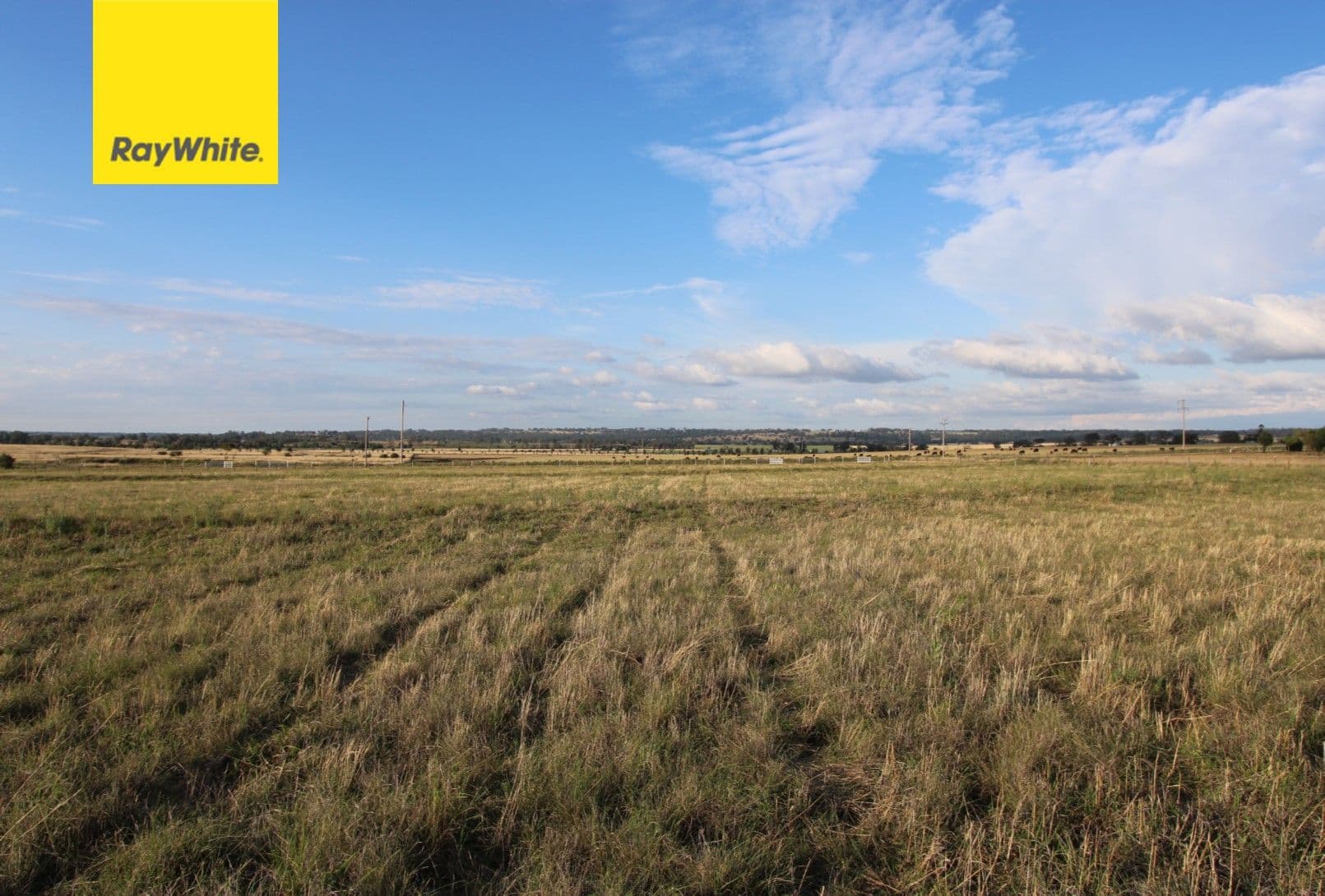 166 Brosnans Lane, Inverell NSW 2360, Inverell - Image 1