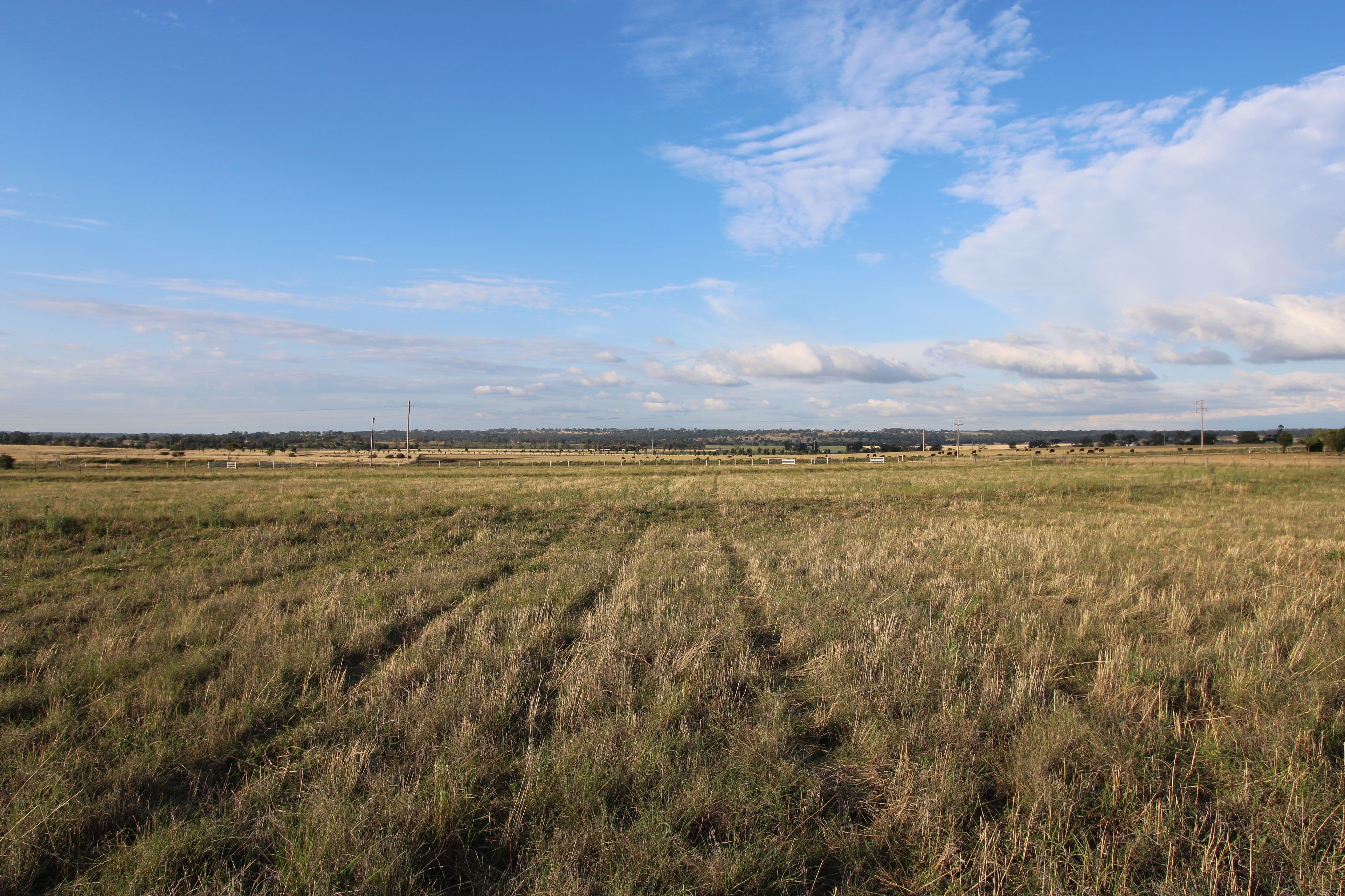166 Brosnans Lane, Inverell NSW 2360, Inverell - Thumbnail 2