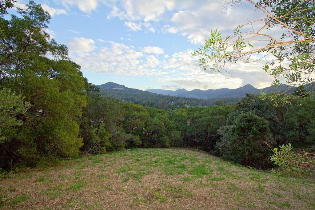1 Ranch Court, TALLEBUDGERA VALLEY QLD 4228, Tallebudgera Valley - Thumbnail 4
