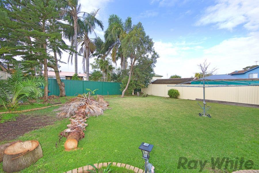 33 Kalele Avenue, Budgewoi NSW 2262, Budgewoi - Thumbnail 3