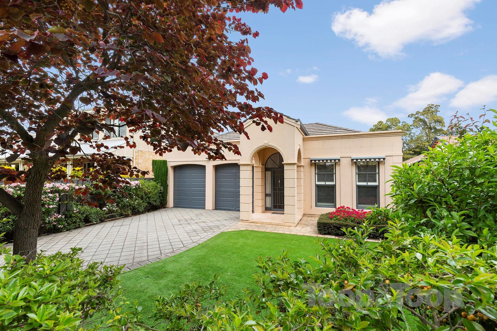 118 Alexandra Avenue, Toorak Gardens SA 5065, Toorak Gardens - Image 1