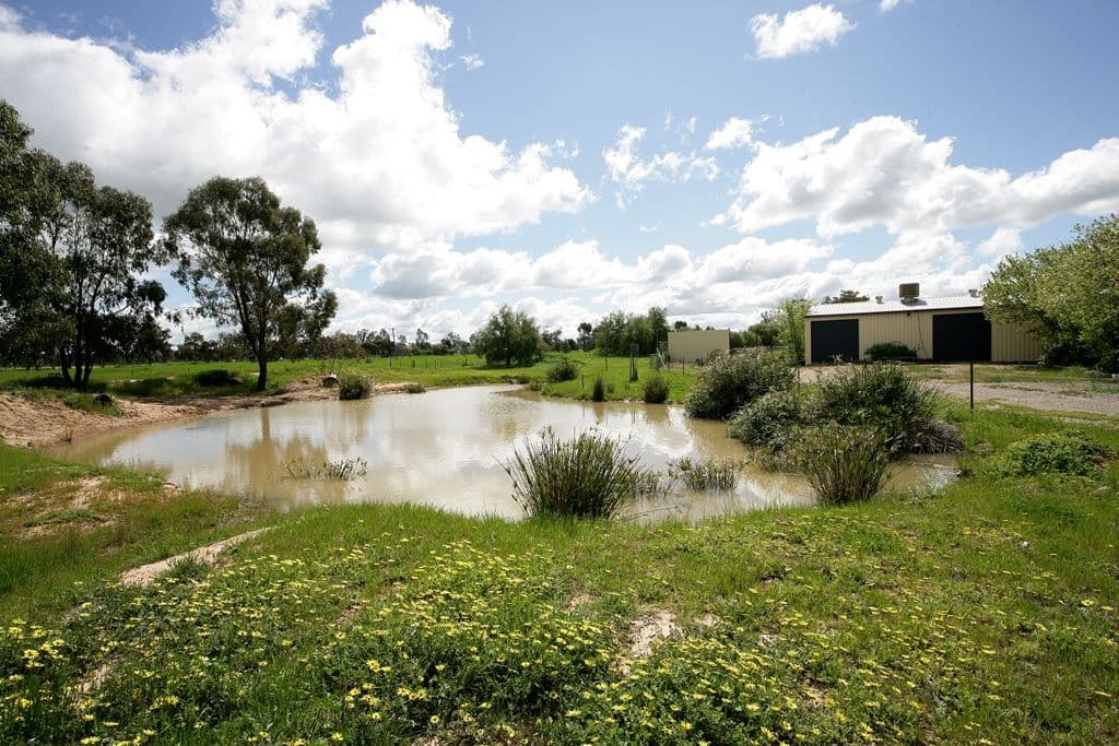 60-62 Cleek Street, Currawarna NSW 2650, Currawarna - Thumbnail 2