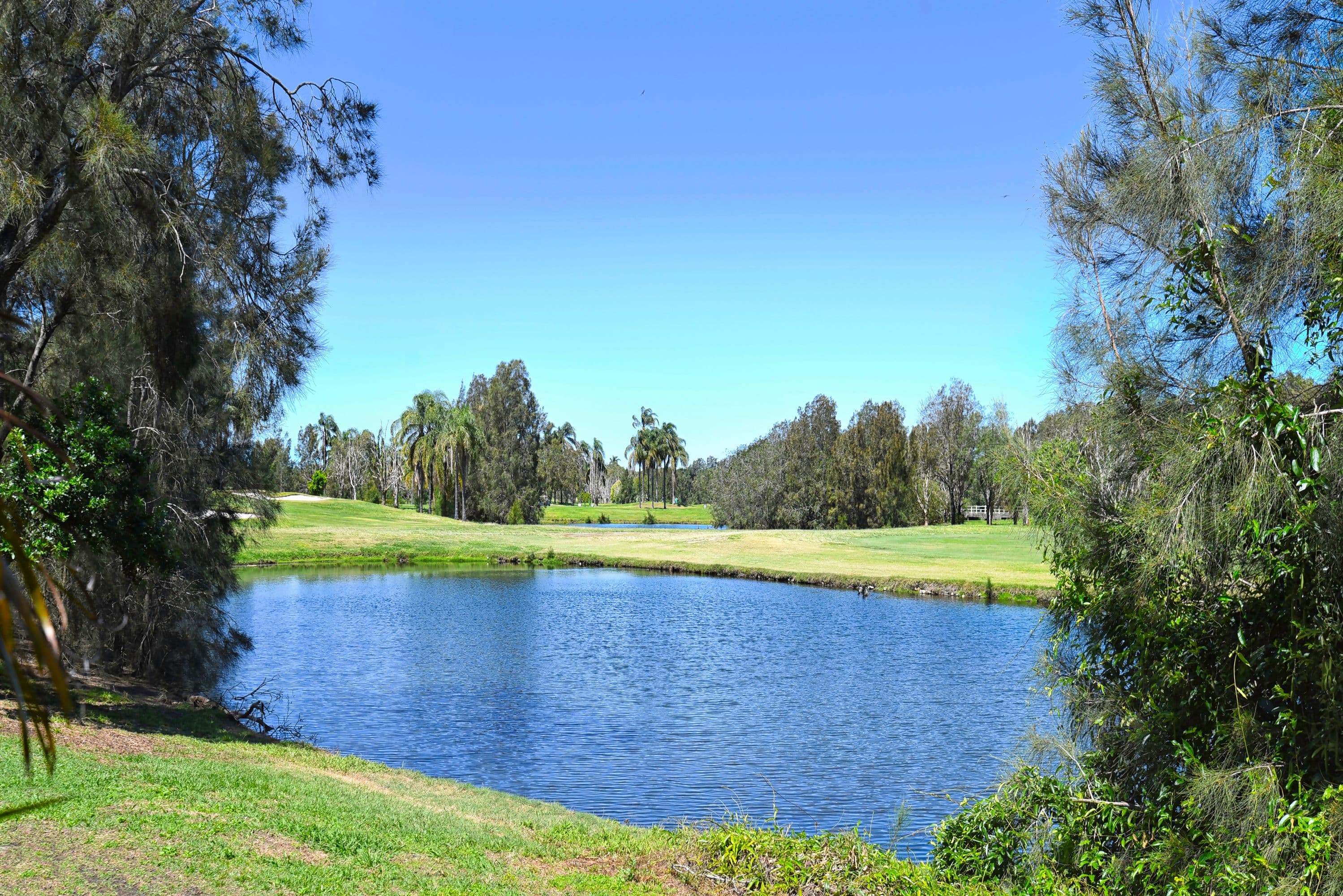64 Palm Meadows Drive, Carrara QLD 4211, Carrara - Thumbnail 8