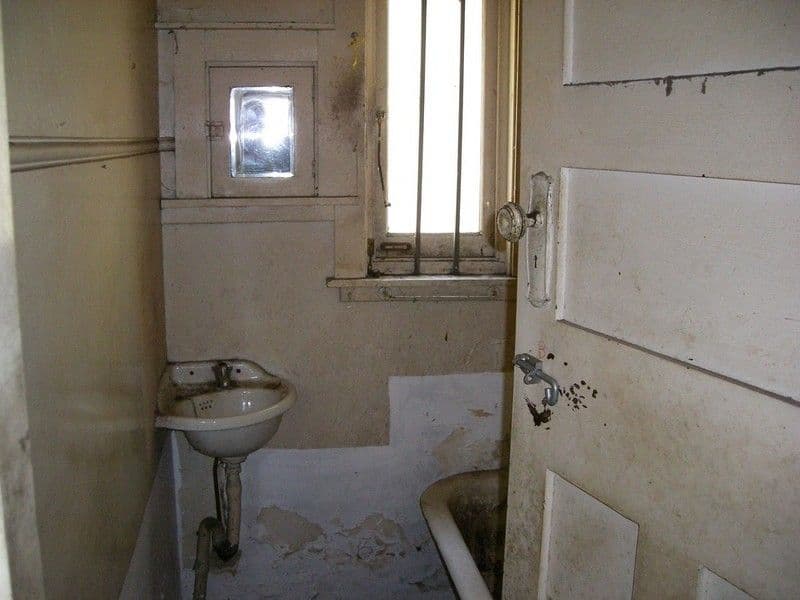 38 Morton Avenue, LEWISHAM NSW 2049, Lewisham - Thumbnail 4