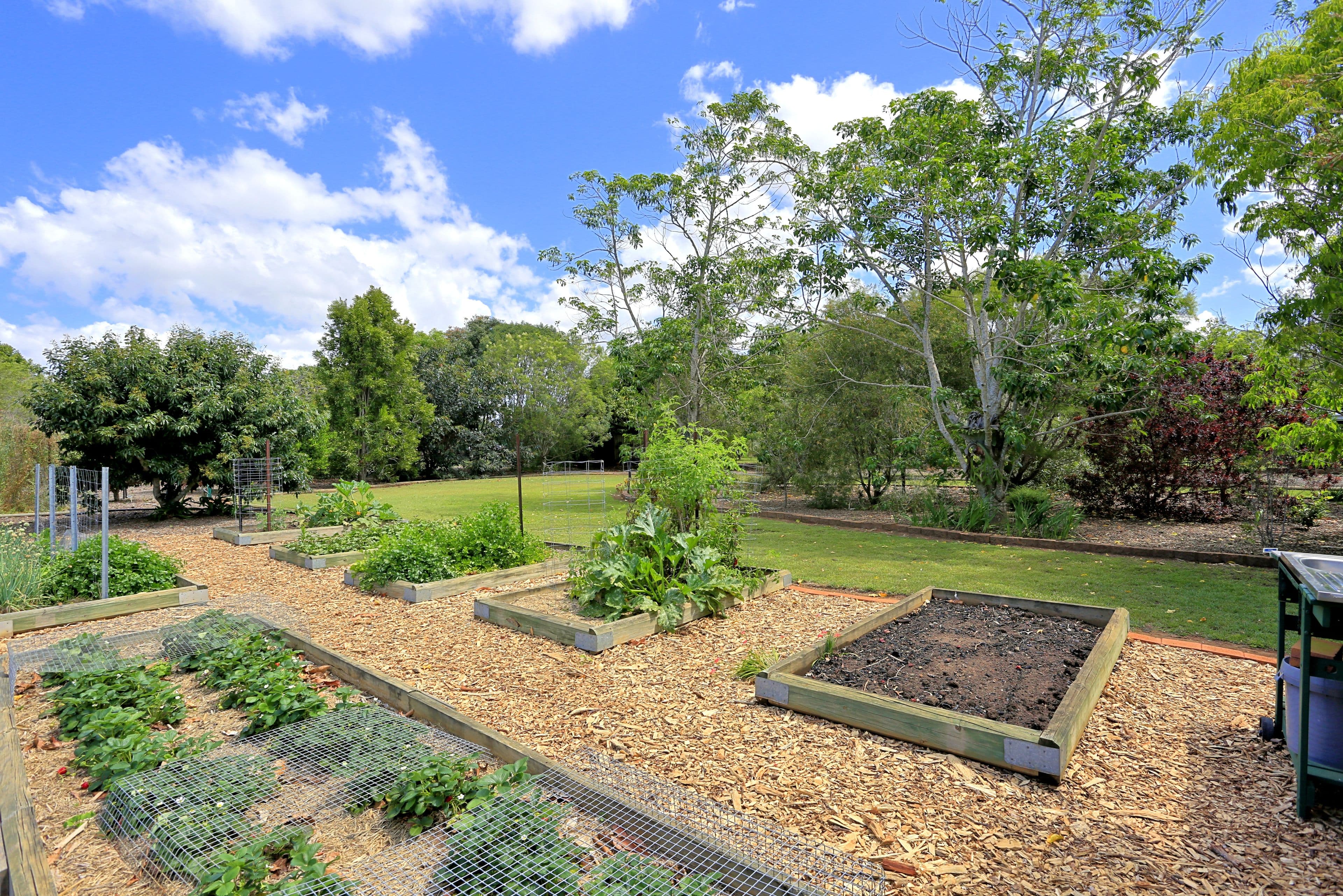5 Wheelers Road, Oakwood QLD 4670, Oakwood - Thumbnail 7