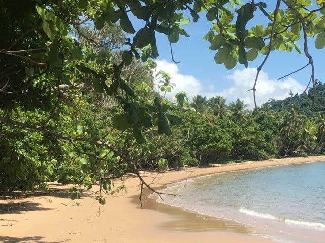 30 Cutten Street, Bingil Bay QLD 4852, Bingil Bay - Thumbnail 4
